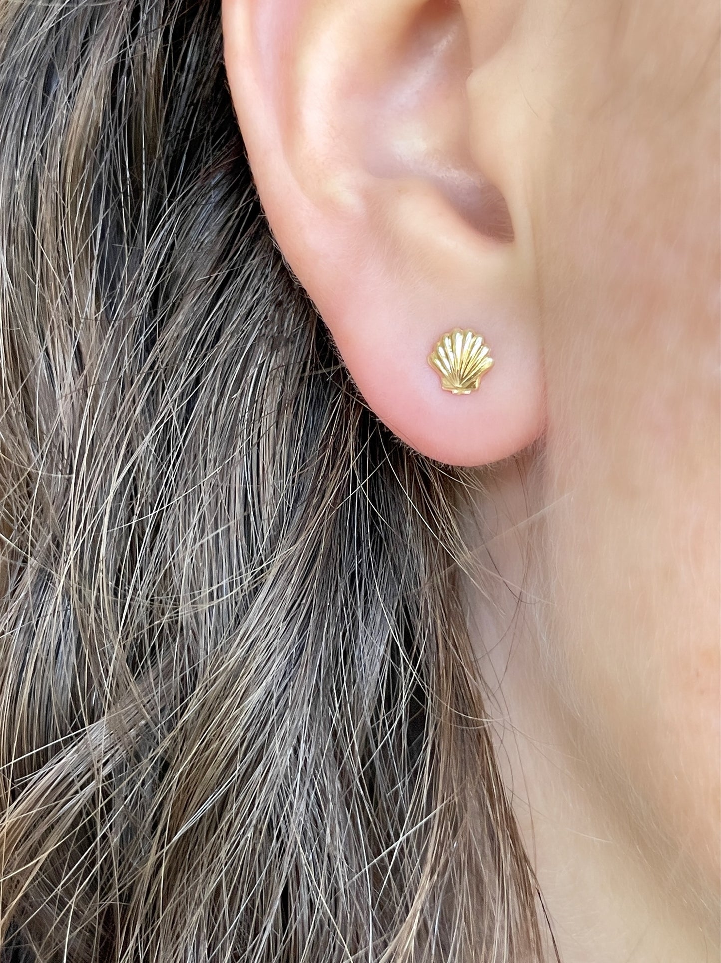 Tiny Seashell Earring