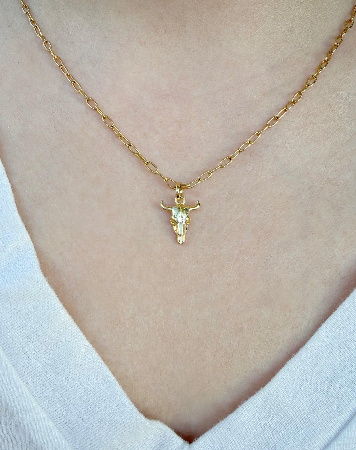 Western Skull Necklace