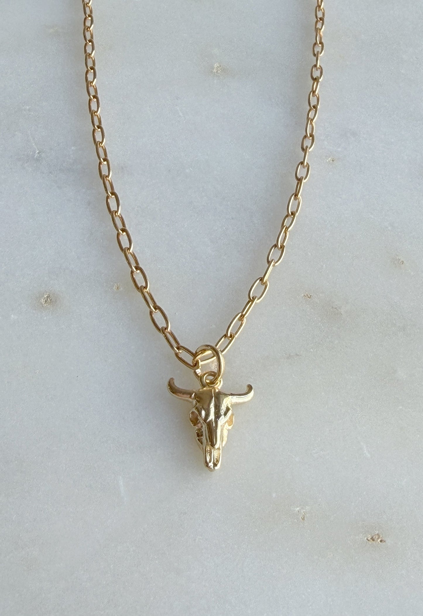 Western Skull Necklace