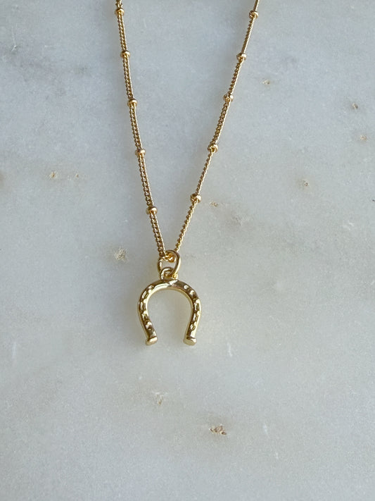 Horseshoe Necklace