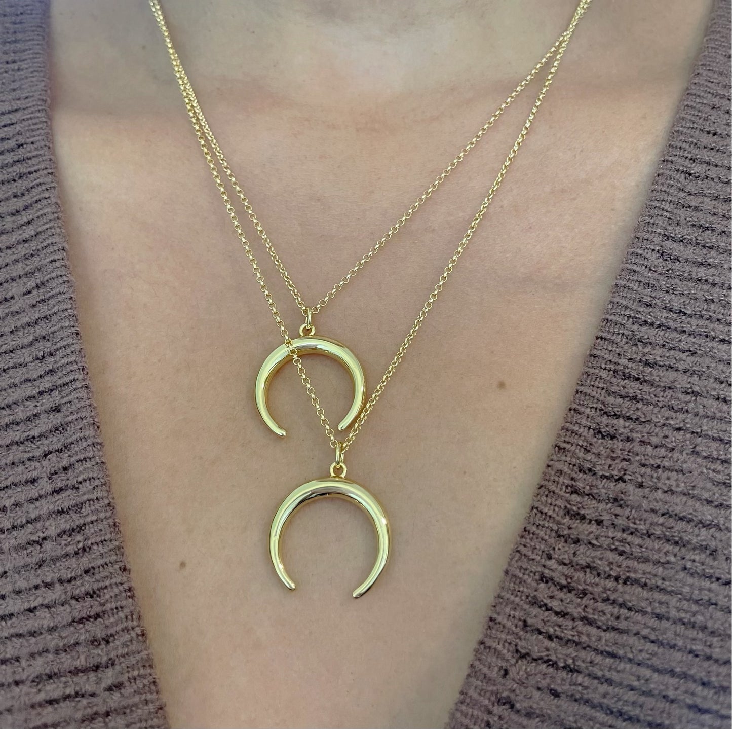 Crescent Horn Necklace